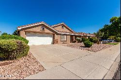 1147 N Marvin Street, Gilbert AZ 85233