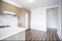 9917 Rue Parthenais, Montréal (Ahuntsic-Cartierville) QC H2B2L3