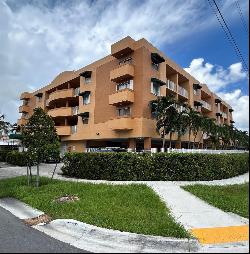 2441 SW 31st Ave Unit 309, Miami FL 33145