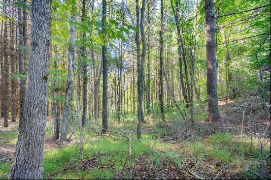 18Ac TBD Highview Ln #00, Fancy Gap VA 24328