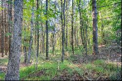 18Ac TBD Highview Ln #00, Fancy Gap VA 24328