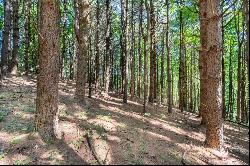 18Ac TBD Highview Ln #00, Fancy Gap VA 24328