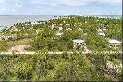 328 Nedley St, St. George Island FL 32328