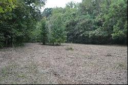 0 Cub Creek, Indian Mound TN 37079