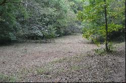 0 Cub Creek, Indian Mound TN 37079