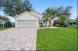 501 Herrera Court, The Villages FL 32159