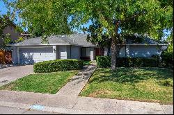 5132 Virtue Arc Drive, Stockton CA 95207