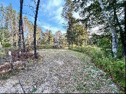 8145 Marathon Way, Alanson MI 49706