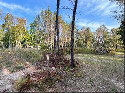 8145 Marathon Way, Alanson MI 49706