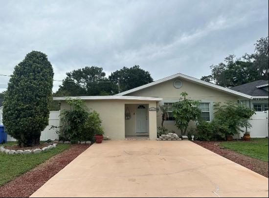 12415 Cottrell Street, Tampa FL 33612