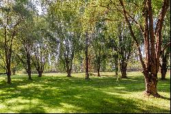 15.17 Acres with Ponds, Mature Trees, and Private Frontage Along the Provo River