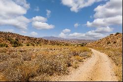 Hwy 33,Cuyama, CA, 93254