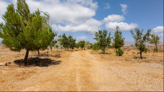 Cuyama