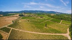 Fine winery and resort with spa in Sarteano, Siena - Tuscany