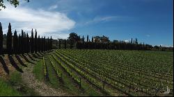 Fine winery and resort with spa in Sarteano, Siena - Tuscany