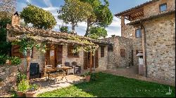 The Divine Painter country house with pool, Città della Pieve - Umbria