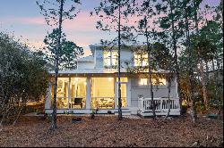 Southern-Style WaterColor Home With Amazing Outdoor Living Area And Fireplace