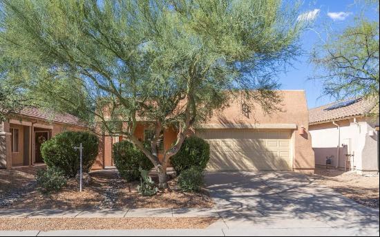 10357 E Capercaillie Street, Tucson, AZ 85747