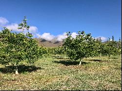 Unique countryside in Salta