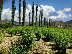 Unique countryside in Salta