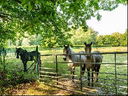 Brabant Wallon I Gaillemarde