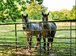 Brabant Wallon I Gaillemarde