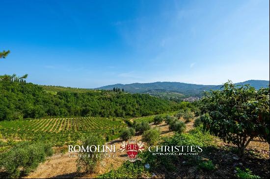 BOUTIQUE WINERY FOR SALE IN CHIANTI CLASSICO, TUSCANY