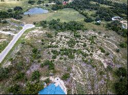 Lot 24 Scenic Hills Court, Blanco, TX 78606