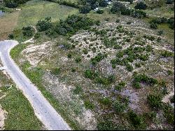 Lot 24 Scenic Hills Court, Blanco, TX 78606