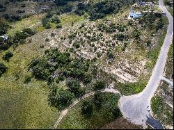 Lot 24 Scenic Hills Court, Blanco, TX 78606