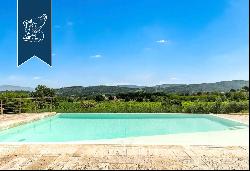 Renovated farmhouse with a swimming pool, olive grove and panoramic view just outside the 