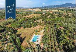 Typical, renovated Tuscan villa with an olive grove for sale south of Livorno, a few minut