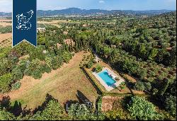 Typical, renovated Tuscan villa with an olive grove for sale south of Livorno, a few minut