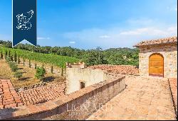 Luxury villa with agricultural grounds and hospitality potential for sale in Maremma