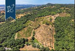 Luxury villa with agricultural grounds and hospitality potential for sale in Maremma