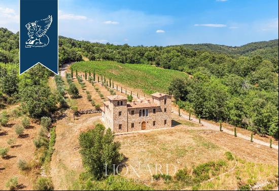 Luxury villa with agricultural grounds and hospitality potential for sale in Maremma