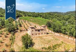 Luxury villa with agricultural grounds and hospitality potential for sale in Maremma