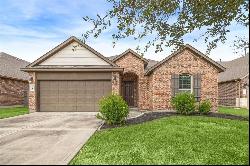 6610 Auburn Terrace Lane, Rosenberg TX 77471