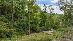 176 Lower Lake Road, Highlands NC 28741