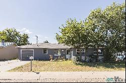 509 W Plains Street, Clovis NM 88101