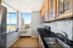 70 W Burton Place #2403, Chicago IL 60610