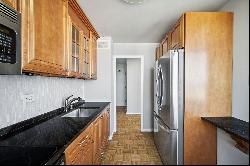 70 W Burton Place #2403, Chicago IL 60610