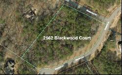 2562 Blackwood Court, Auburn AL 36830