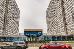 4800 S Chicago Beach Drive #1810N, Chicago IL 60615