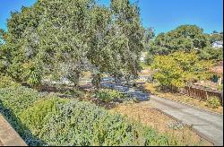 17846 Berta Canyon Road, Salinas CA 93907