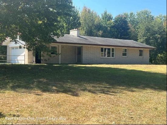 13105 Beaver Road, Fremont Township MI 48655