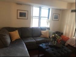 170 Tremont Street #1006, Boston MA 02113