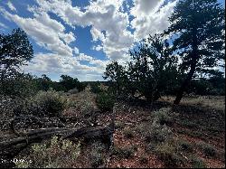 196 S Kaibab Road, Williams AZ 86046