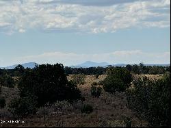 196 S Kaibab Road, Williams AZ 86046