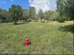 1127 Little Big Horn Road, Alto NM 88312